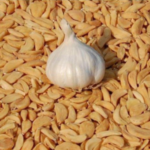 Dehydrated garlic